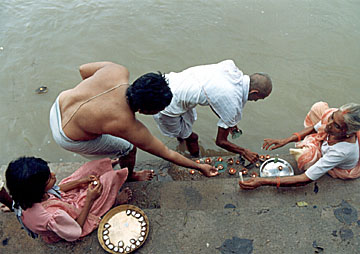 Image description