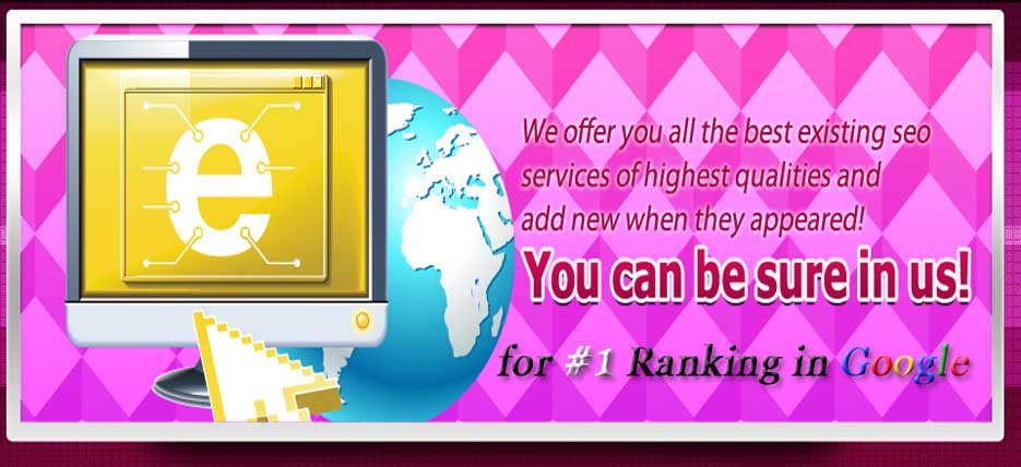 Ridds-Network-Best-SEO-Marketing-Services-Company-India
