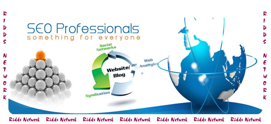 Professional-SEO-Ridds-Network-Delhi-India