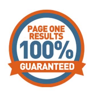 Ridds-Network-Page-One-Guaranteed-Result-SEO-Services-Company-India