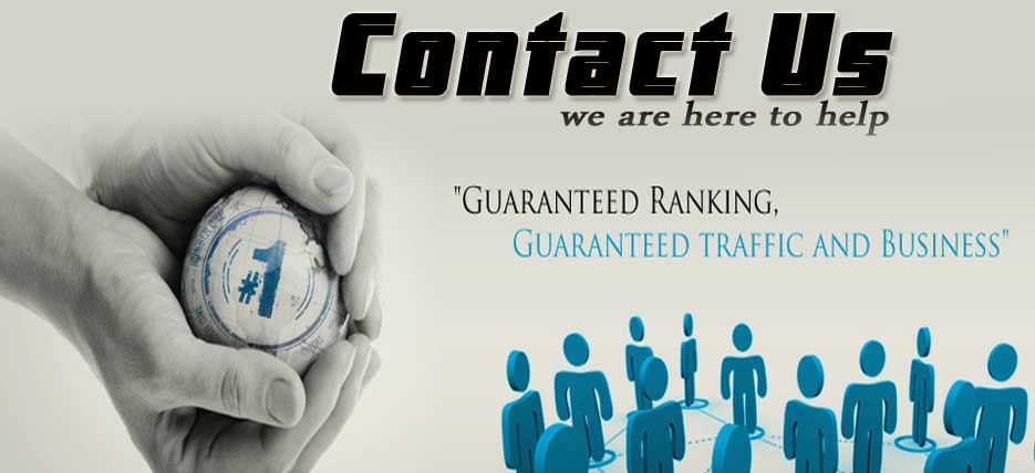Ridds-Network-India-Gauranteed-SEO-Promotion-Services-Company-Contact-Us-Delhi-India