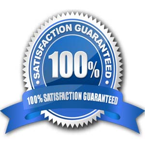 Satisfation-Guaranteed-SEO-Services-Ridds-Network-India