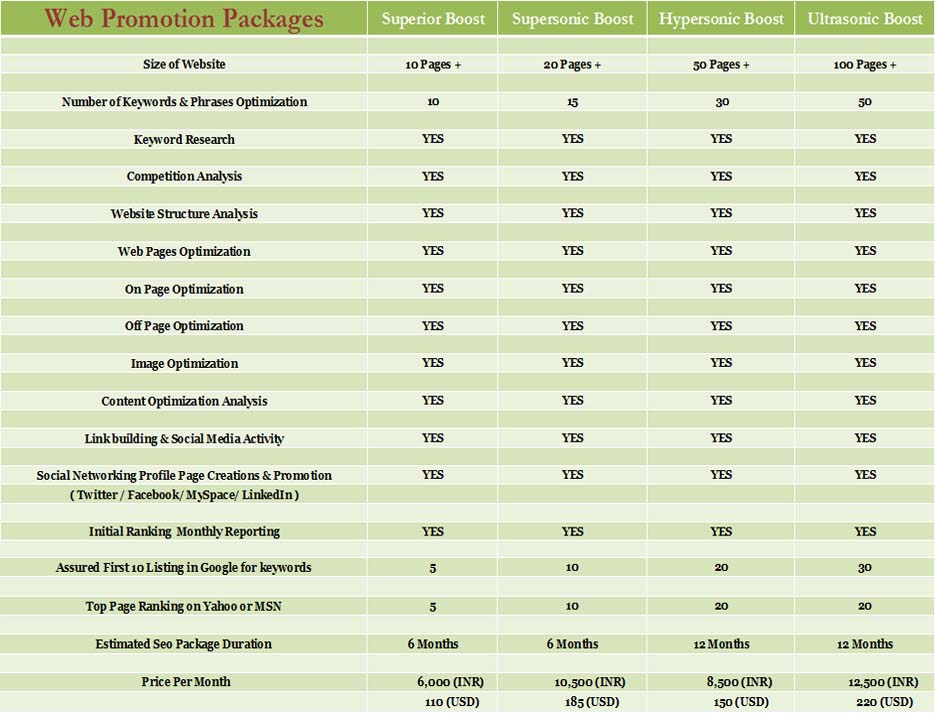Seo-Packages-India