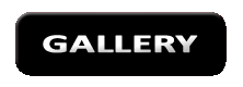 Partners in ART Gallery