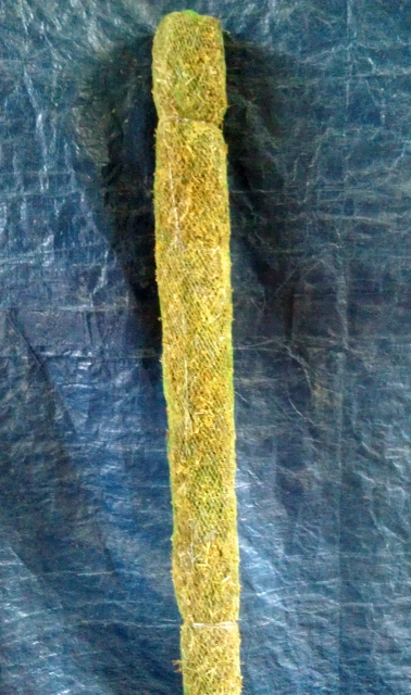 Moss Sticks  / Rs 40 per foot