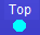 top1.png