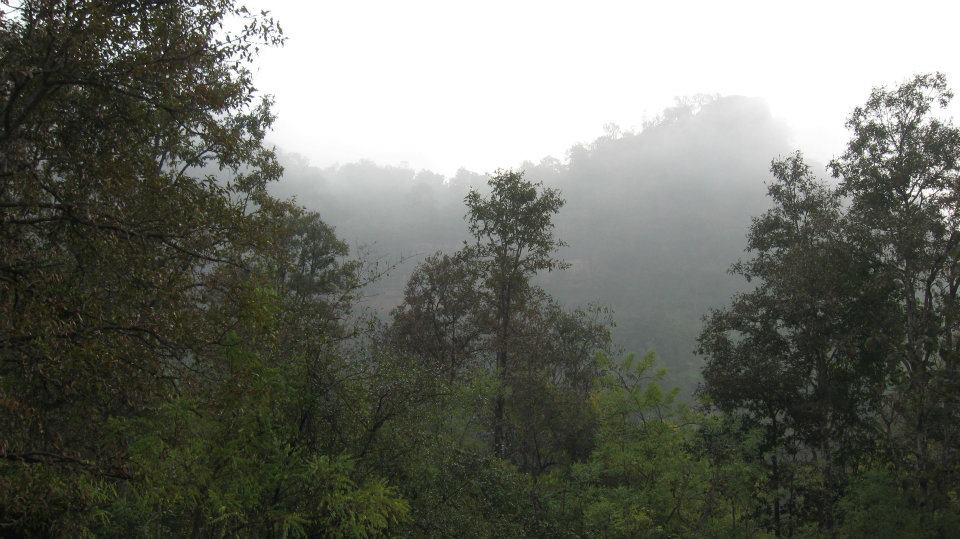 Image description