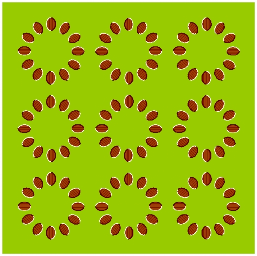 illusions-pics-9.jpg