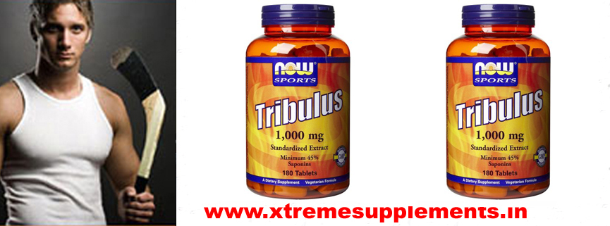 NOW TRIBULUS PRICE INDIA