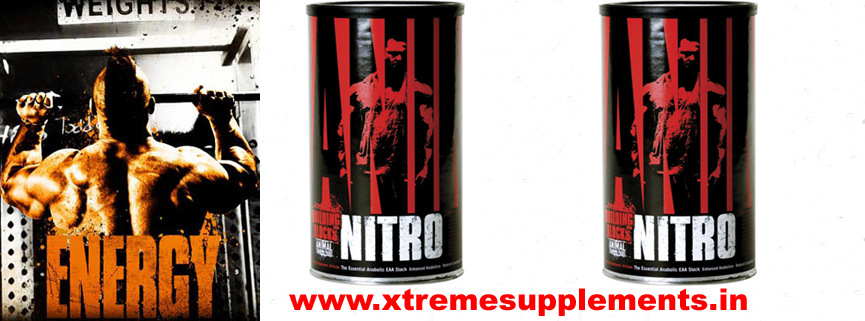 MUSCLETECH GLUTAMINE HARDCORE 300GMS