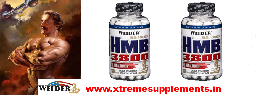 WEIDER HMB 3800 PRICE INDIA