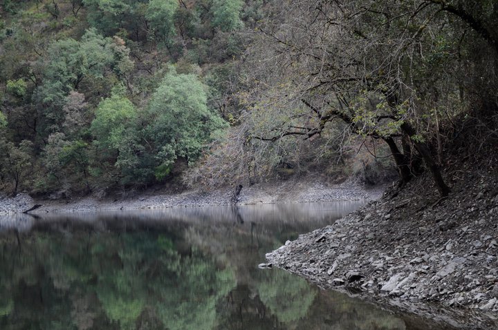 Back to Nature, Nature Camp Alchona, Bhimtal, Nainital Tourism - Adventure Camping near Nainital, Bird watching, Trekking, Bonfire and Nature walks - Group Packages