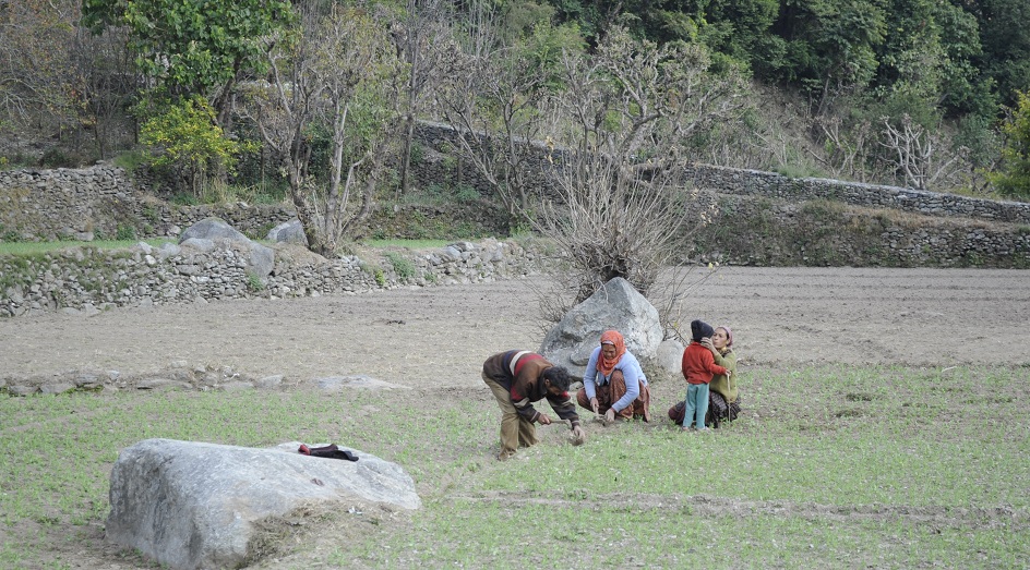 Back to Nature, Nature Camp Alchona, Bhimtal, Nainital Tourism - Adventure Camping near Nainital, Bird watching, Trekking, Bonfire and Nature walks - Group Packages