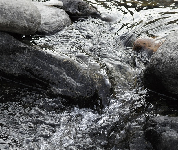 Back to Nature, Nature Camp Alchona, Bhimtal, Nainital Tourism - Adventure Camping near Nainital, Bird watching, Trekking, Bonfire and Nature walks - Group Packages