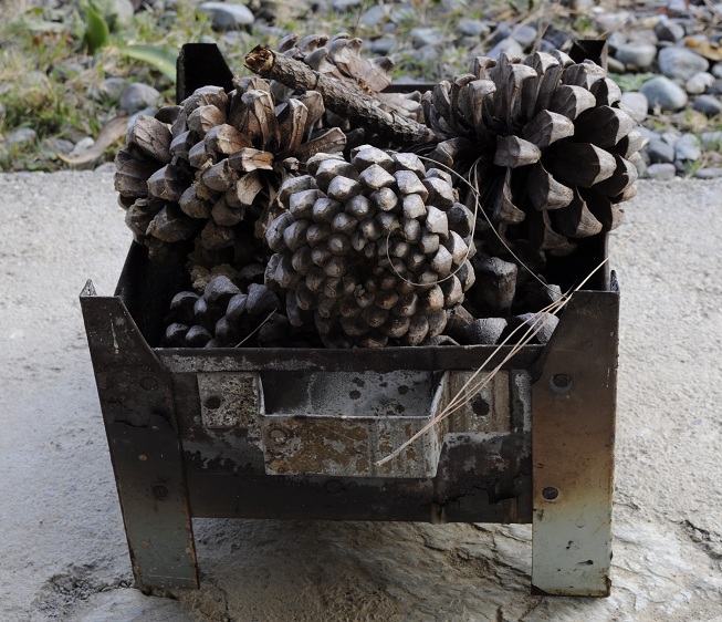 Back to Nature, Nature Camp Alchona, Bhimtal, Nainital Tourism - Adventure Camping near Nainital, Bird watching, Trekking, Bonfire and Nature walks - Group Packages