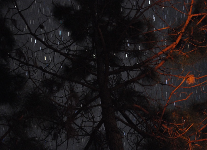 Back to Nature, Nature Camp Alchona, Bhimtal, Nainital Tourism - Adventure Camping near Nainital, Bird watching, Trekking, Bonfire and Nature walks - Group Packages