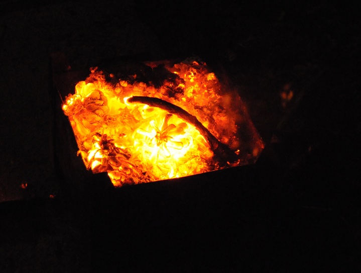 Back to Nature, Nature Camp Alchona, Bhimtal, Nainital Tourism - Adventure Camping near Nainital, Bird watching, Trekking, Bonfire and Nature walks - Group Packages