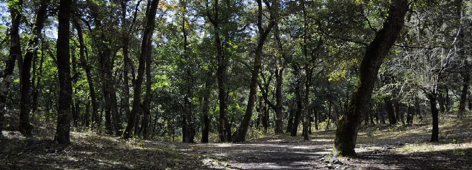 Back to Nature Camp,Village Alchona,Chafi,Bheemtal,Bhimtal,Nainital,Mukteshwar,Camping Near Delhi,Camp in Bhimtal,Camping in Nainital,Camp in Nainital,Nainital Camping,Camping in Mukteshwar,Camping in Saat tal,Bonfire camp in Nainital,Adventure Activities At Back to Nature Camp,Accommodation At Back to Nature Camp,Vacation Near Delhi,Camping Near Nainital,Adventure Camps Near Nainital,Adventure Camps Near Delhi,Nature Camp,Adventure Camp,Bird Watching camp,Birders paradise,Himalayan Bird watching,Adventure sports,Mountain trekking,Rock Climbing,Flying Fox,River Crossing,Tents,camps,River and Jungle Treks,Village Visits,Bird Watching in Uttrakhand,Stay in Hills,Mountain Biking,Bonfire camp in Jungle,Jungle tours in Nainital,trek,trekking fun time,Camping in Uttrakhand,Camping in Uttaranchal,camping in North India,Camping in Kumaon,Sunset Hikes,school excursion,school picnic,school camps,school tours in hills,group packages,groups tours,college excursion,college picnic,college camps,college tours,college tour packages,Jungle camp,GROUP PACKAGE FOR CAMPING