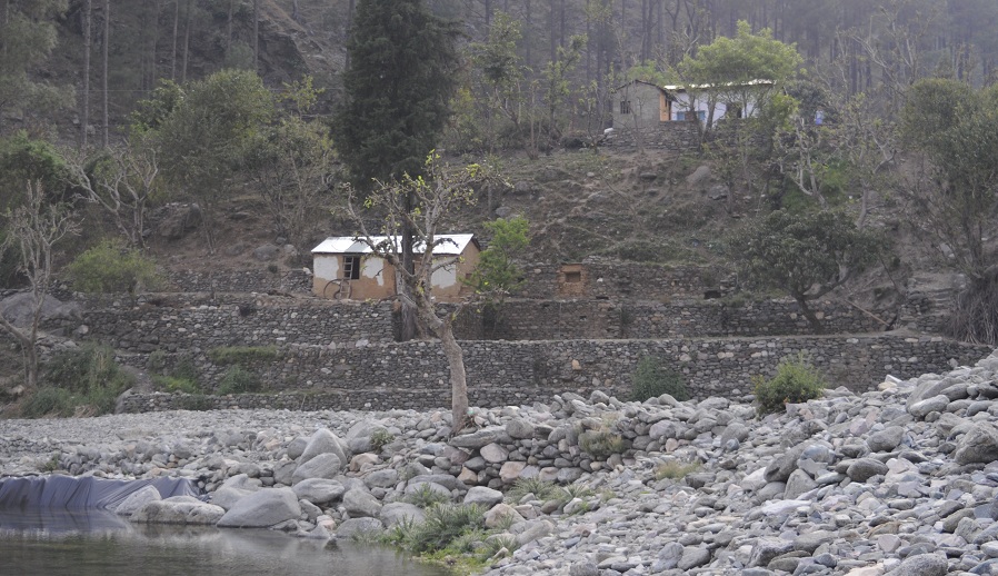 Back to Nature, Nature Camp Alchona, Bhimtal, Nainital Tourism - Adventure Camping near Nainital, Bird watching, Trekking, Bonfire and Nature walks - Group Packages