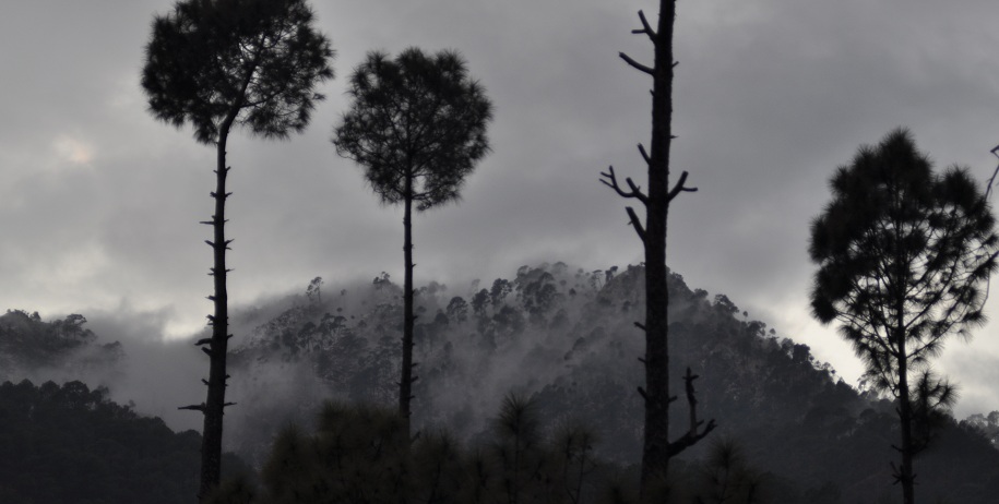 Back to Nature Camp,Village Alchona,Chafi,Bheemtal,Bhimtal,Nainital,Mukteshwar,Camping Near Delhi,Camp in Bhimtal,Camping in Nainital,Camp in Nainital,Nainital Camping,Camping in Mukteshwar,Camping in Saat tal,Bonfire camp in Nainital,Adventure Activities At Back to Nature Camp,Accommodation At Back to Nature Camp,Vacation Near Delhi,Camping Near Nainital,Adventure Camps Near Nainital,Adventure Camps Near Delhi,Nature Camp,Adventure Camp,Bird Watching camp,Birders paradise,Himalayan Bird watching,Adventure sports,Mountain trekking,Rock Climbing,Flying Fox,River Crossing,Tents,camps,River and Jungle Treks,Village Visits,Bird Watching in Uttrakhand,Stay in Hills,Mountain Biking,Bonfire camp in Jungle,Jungle tours in Nainital,trek,trekking fun time,Camping in Uttrakhand,Camping in Uttaranchal,camping in North India,Camping in Kumaon,Sunset Hikes,school excursion,school picnic,school camps,school tours in hills,group packages,groups tours,college excursion,college picnic,college camps,college tours,college tour packages,Jungle camp,GROUP PACKAGE FOR CAMPING