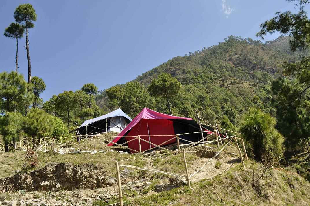 Back to Nature, Nature Camp Alchona, Bhimtal, Nainital Tourism - Adventure Camping near Nainital, Bird watching, Trekking, Bonfire and Nature walks - Group Packages