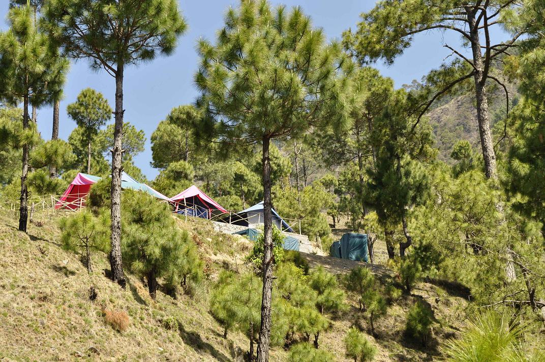 Back to Nature, Nature Camp Alchona, Bhimtal, Nainital Tourism - Adventure Camping near Nainital, Bird watching, Trekking, Bonfire and Nature walks - Group Packages