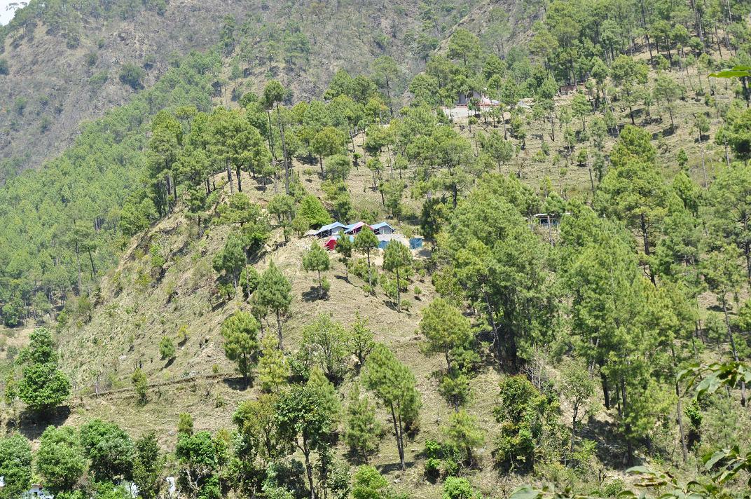 Back to Nature, Nature Camp Alchona, Bhimtal, Nainital Tourism - Adventure Camping near Nainital, Bird watching, Trekking, Bonfire and Nature walks - Group Packages