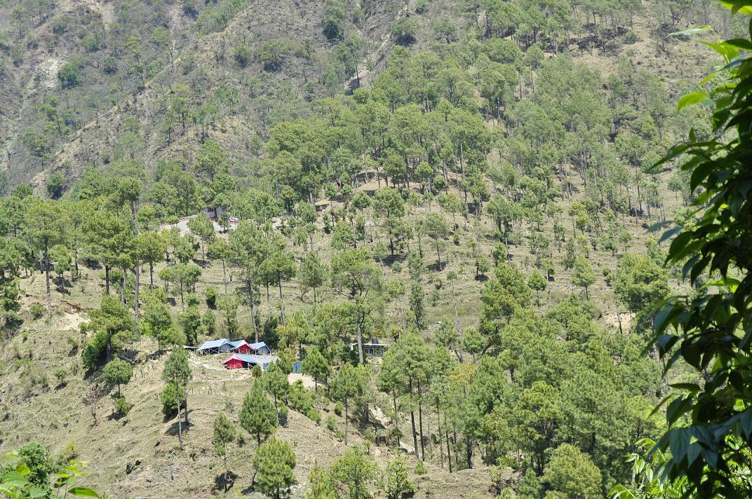 Back to Nature, Nature Camp Alchona, Bhimtal, Nainital Tourism - Adventure Camping near Nainital, Bird watching, Trekking, Bonfire and Nature walks - Group Packages