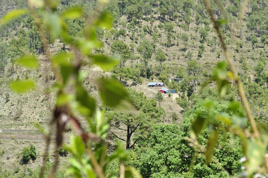 Back to Nature, Nature Camp Alchona, Bhimtal, Nainital Tourism - Adventure Camping near Nainital, Bird watching, Trekking, Bonfire and Nature walks - Group Packages